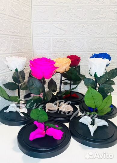 Роза в колбе