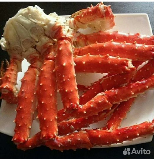 Клешни камчатского краба Л1