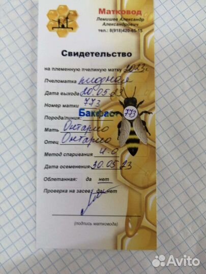 Пчелосемьи, Пчелопакеты, Пчеломатки