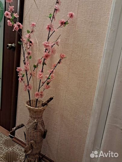 Сакура, 2 ветки, 3 уса