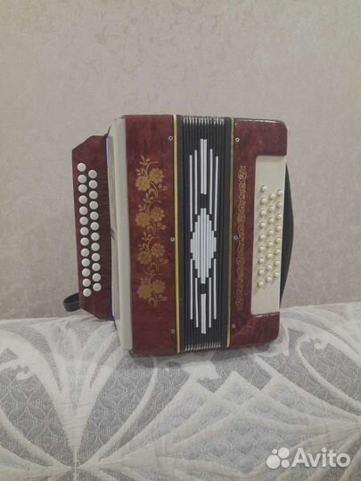 Гармонь нарач2