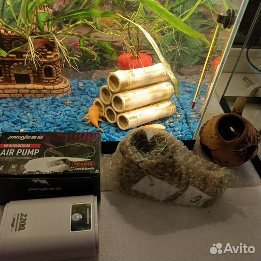 Аквариум с рыбками