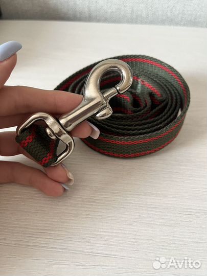 Поводок для собак