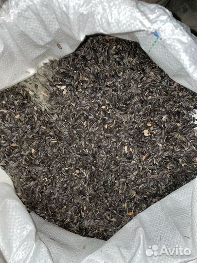 Зерно,корма для с/х животных