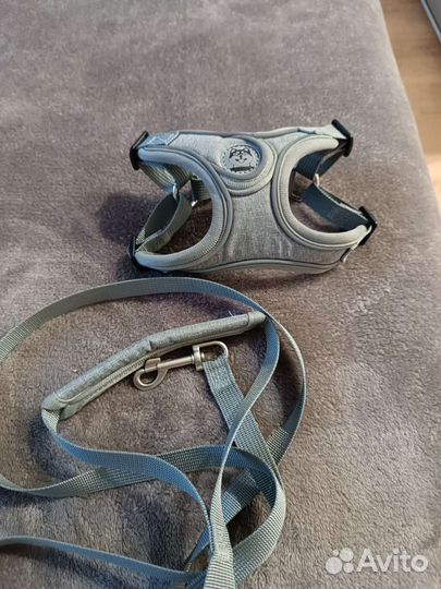 Шлейка, поводок