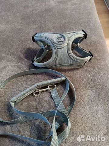 Шлейка, поводок