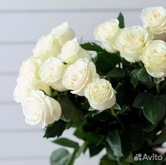 51 Роза, Букеты Цветы Розы 25 101 501 1001