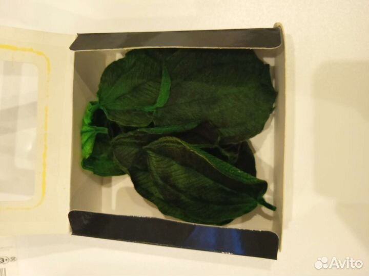 Листья стабилизированные