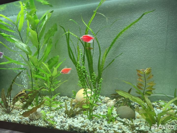 Аквариум 140л