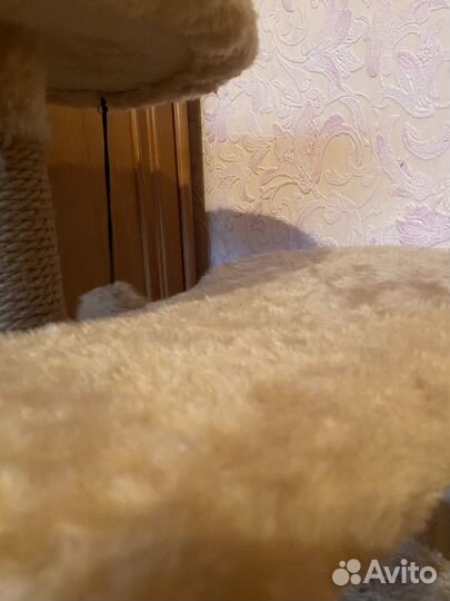 Когтеточка домик для кошки