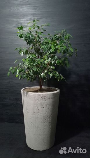 Вазоны, Горшки, Кашпо под заказ из бетона