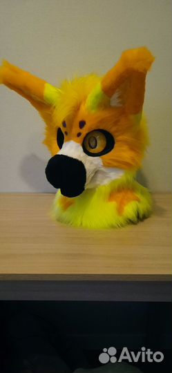 Фурсьют дракона