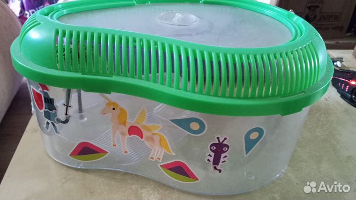 Террариум для паука