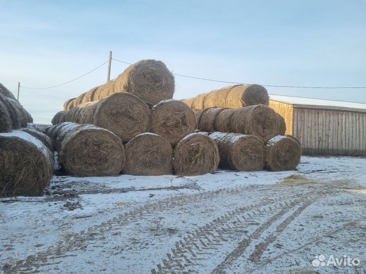 Сено,солома,кормовая солома