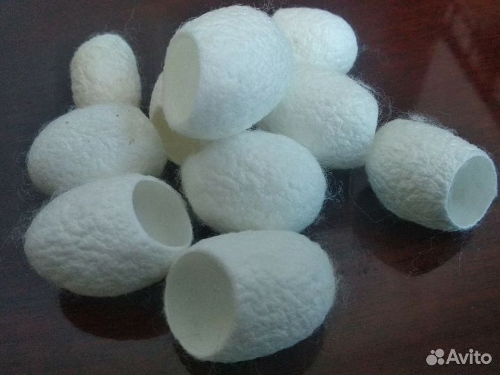 Коконы шелкопряда косметические