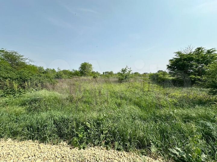 Участок 6,1 сот. (ИЖС)