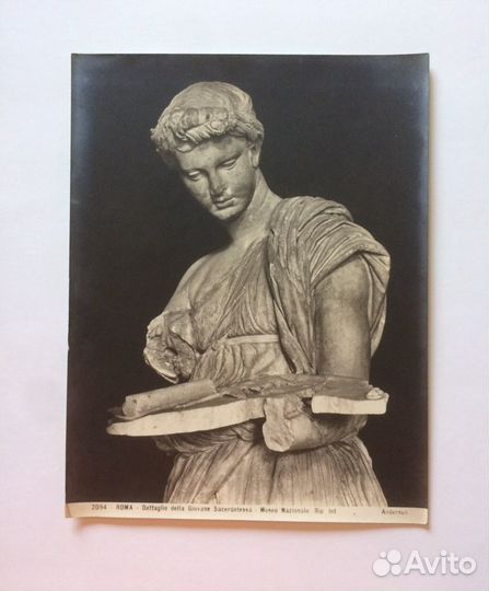 Фотографии Андерсон