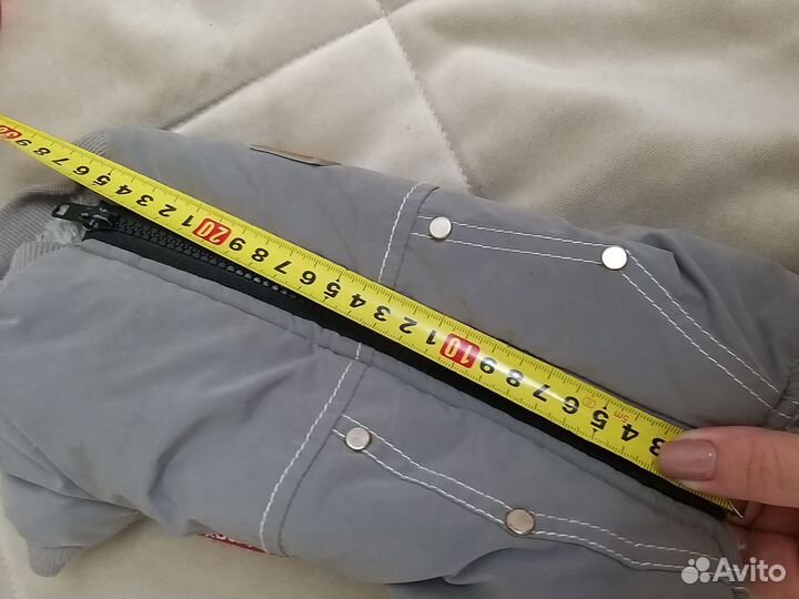 Костюм для собаки зимний s