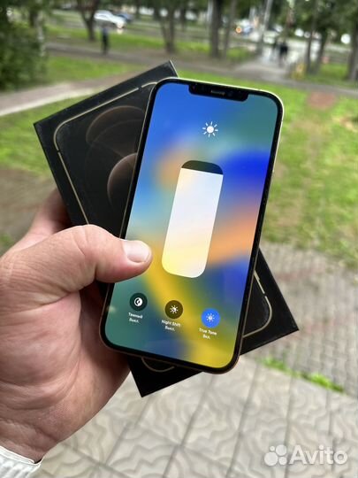 iPhone 12 Pro Max, 256 ГБ