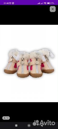 Ботинки для собак мелких и средних пород зимние