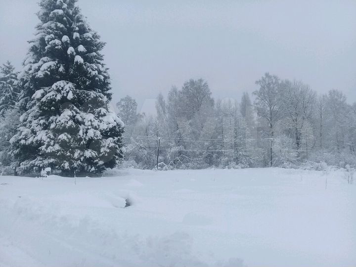 Участок 25 сот. (СНТ, ДНП)