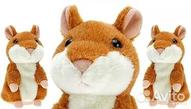 Хомяк говорящий песочный песочный