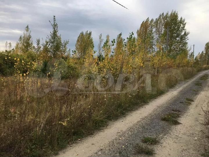 Участок 7,84 га (СНТ, ДНП)