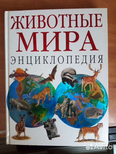 Энциклопедия 