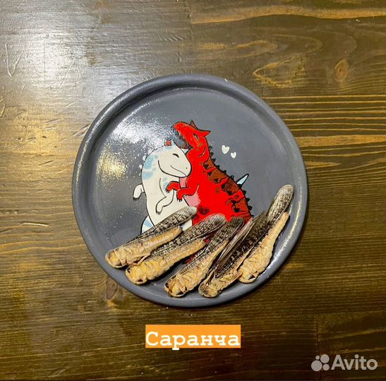 Замороженные насекомые корм