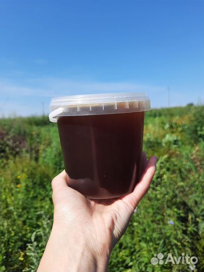 Натуральный Мёд 2023года