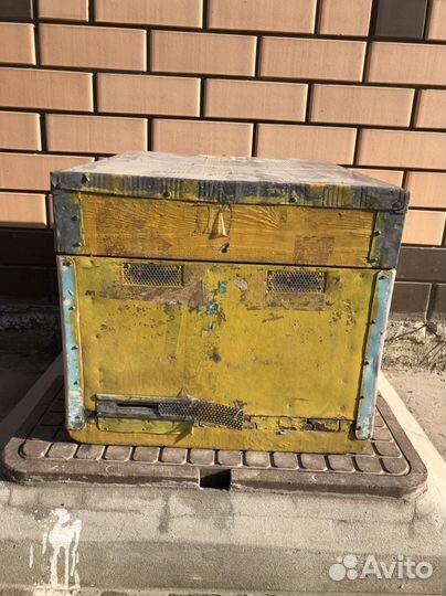 Улей для пчел