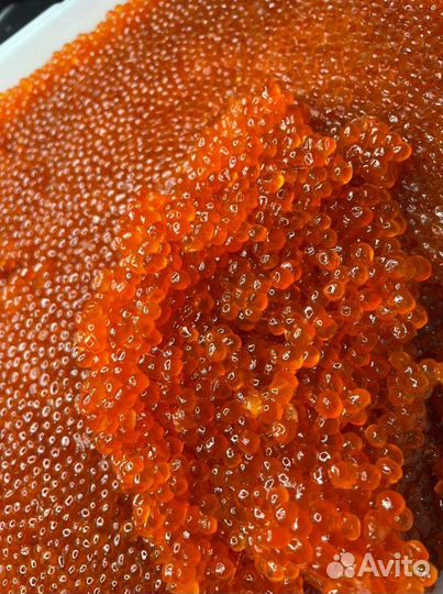 Красная икра розница и опт