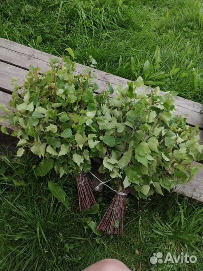 Веники берёзовые