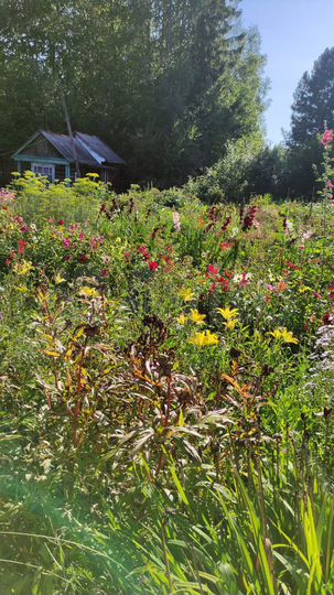 Дача 20 м² на участке 6 сот.