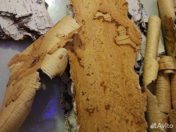 Береста для поделок