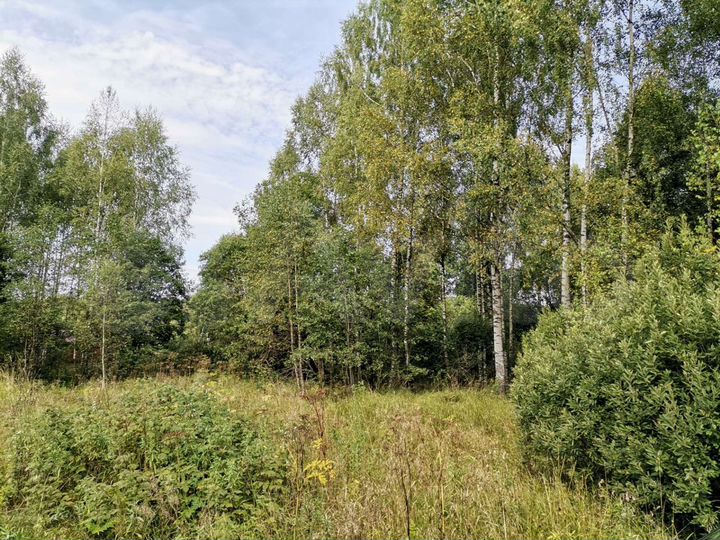 Участок 7,1 сот. (СНТ, ДНП)