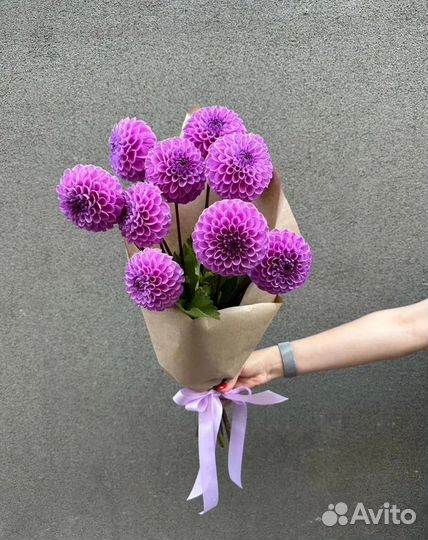 Георгины / Букет / Цветы с доставкой