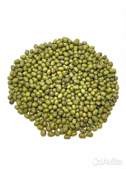 Маш Семена для Проращивания на Микрозелень