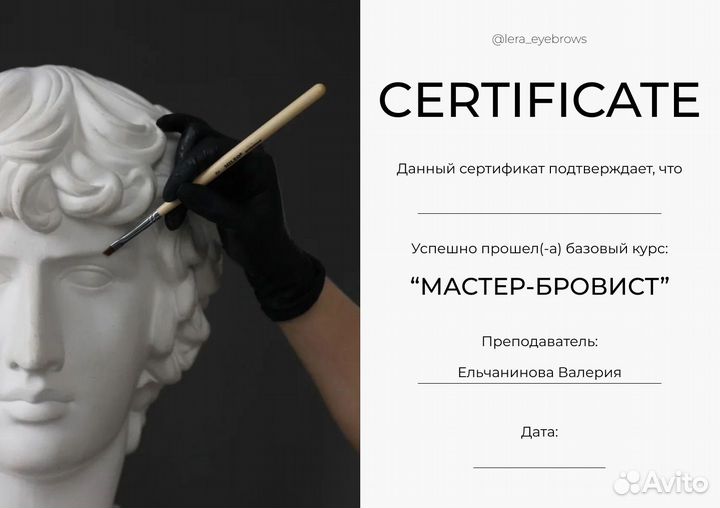 Обучение бровист