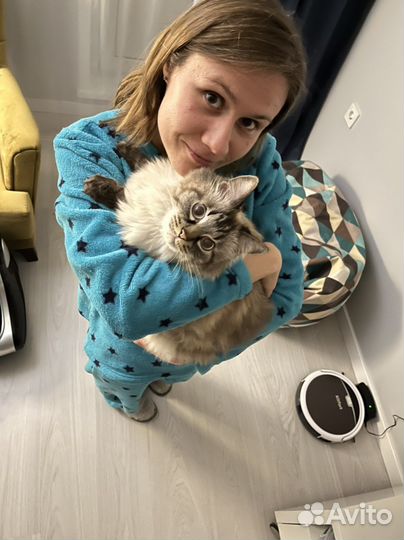 Котоняня/передержка на время отъезда