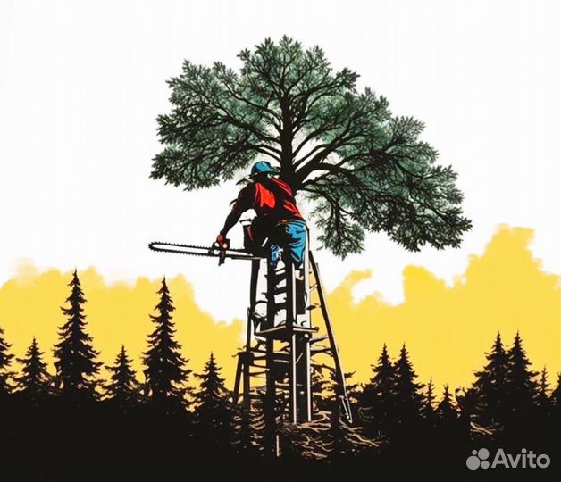 Спил деревьев