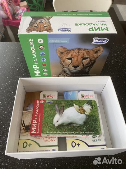 Умница мир на ладошке