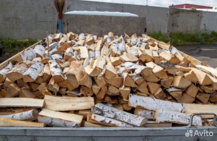 Дрова береза