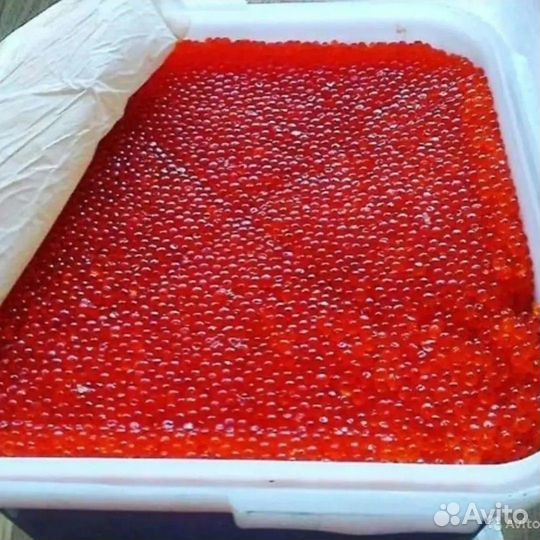 Икра красная