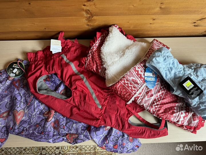 Одежда для собак