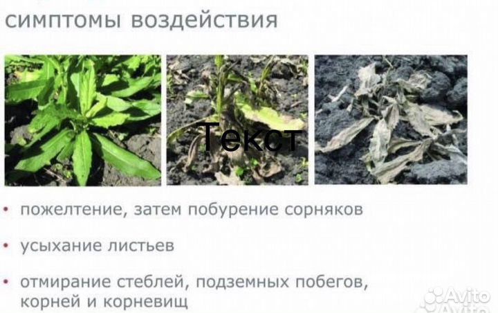 Торнадо 540 (гербицид сплошного действия)