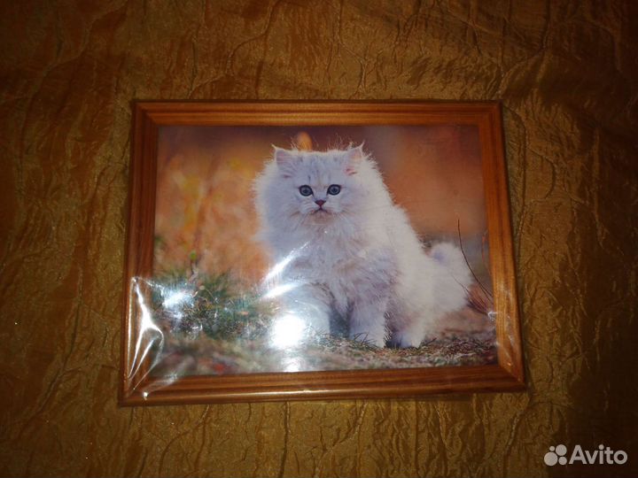 Фото Картина, Рамка для Фото