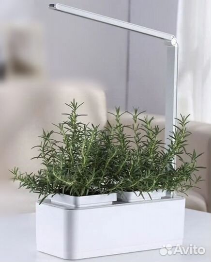 Умный сад для растений, фитомодули