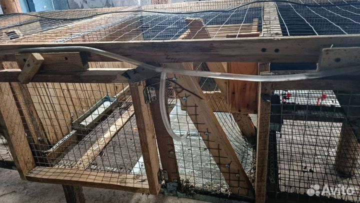 Клетки для кроликов