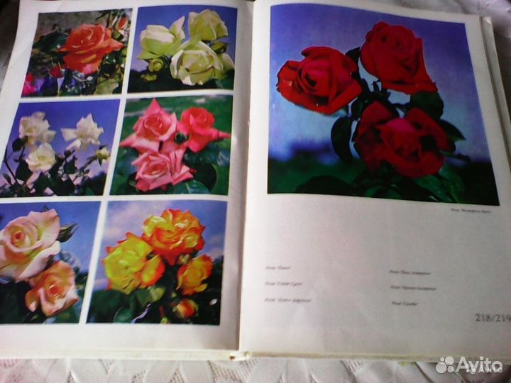 Цветы СССР 1979